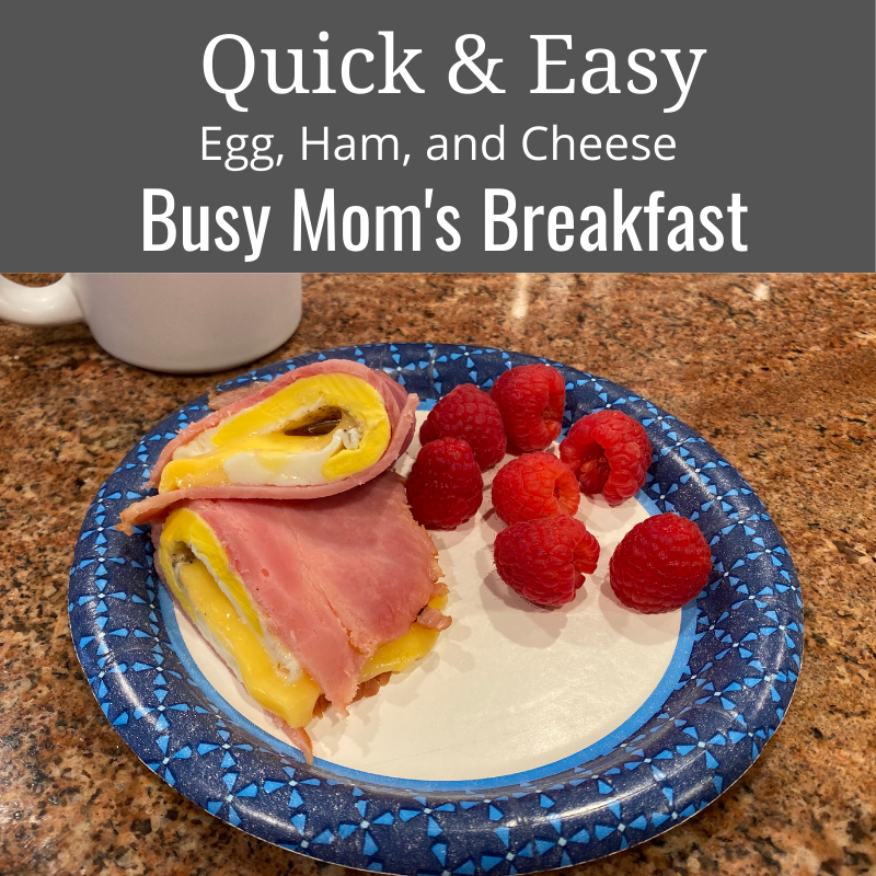 Busy Mom Breakfast